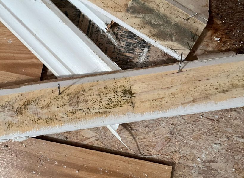 mold growth on baseboards