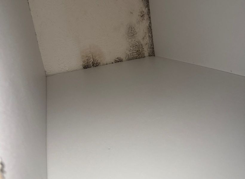 mold on ceiling