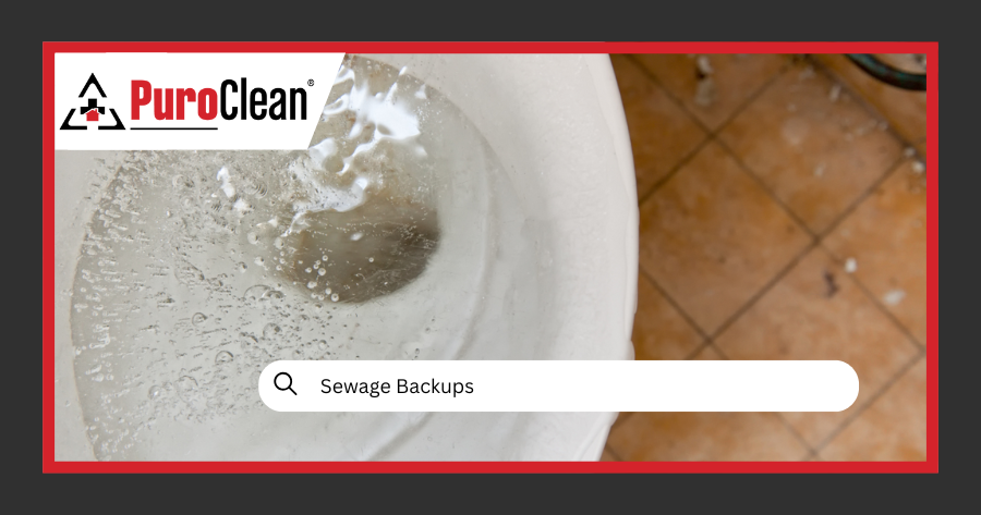 sewage backups