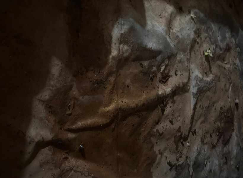 crawl space water damage