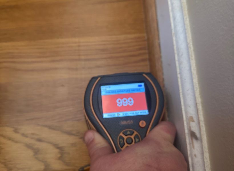 moisture meter reading