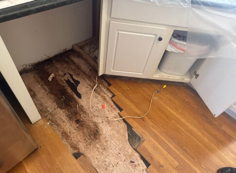 removed flooring in the kitchen