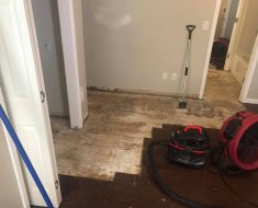 water damage restoration floor