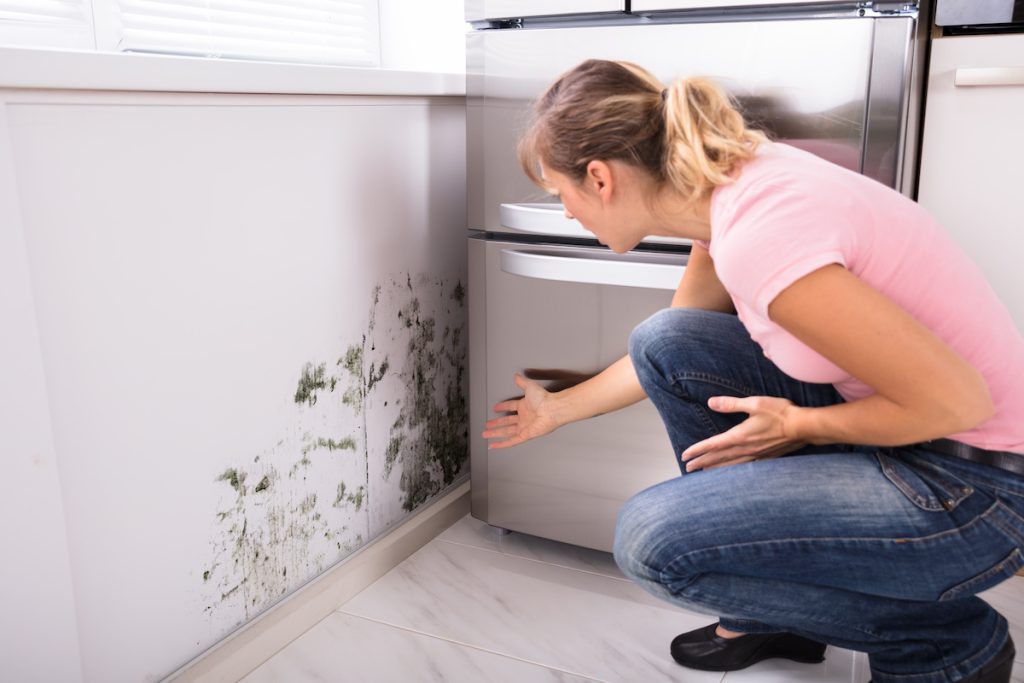 a woman discovers mold growth in her kitchen