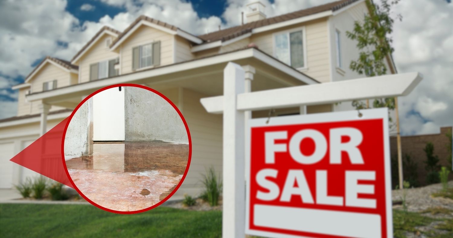 Selling a House with Water Damage: Mission (Im)possible?