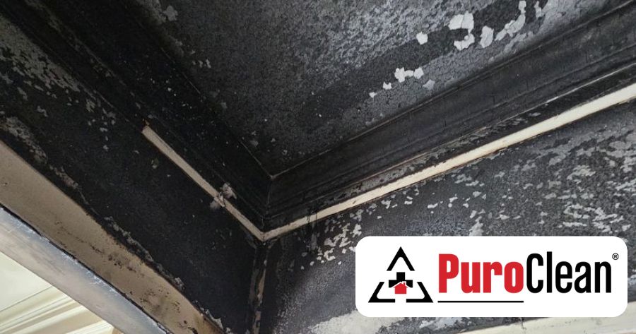 A Fire from the Pantry Leaving Soot and Smoke Damage in Simpsonville, SC