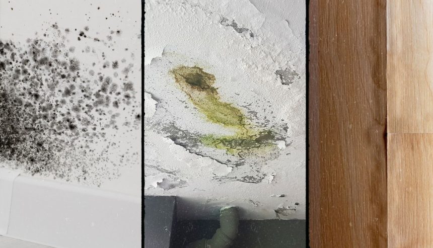signs of water damage