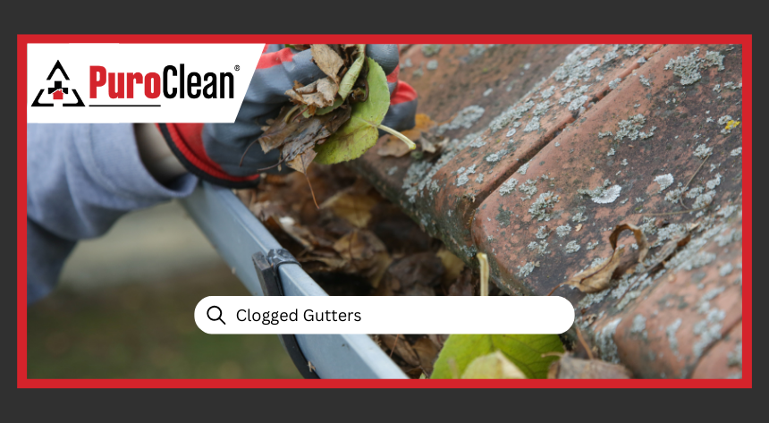 Clogged Gutters