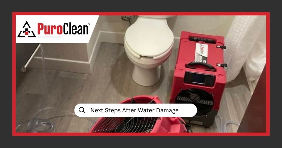 6 Crucial Steps After Water Damage: What to Do After a Flood, Sewage Backup, or Water Leak?