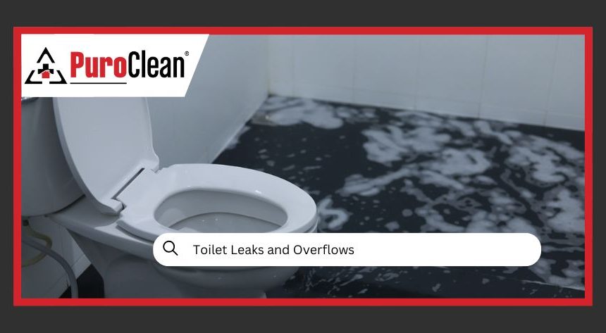 Toilet Leaks and Overflows