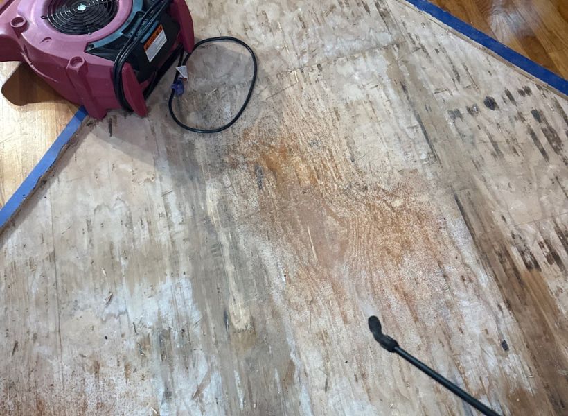 applying antimicrobial solutions