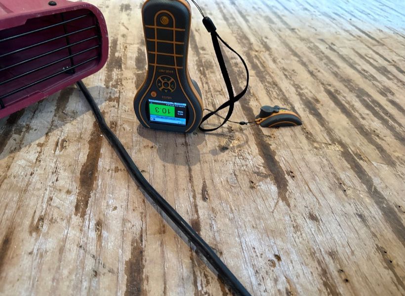 moisture meter reading