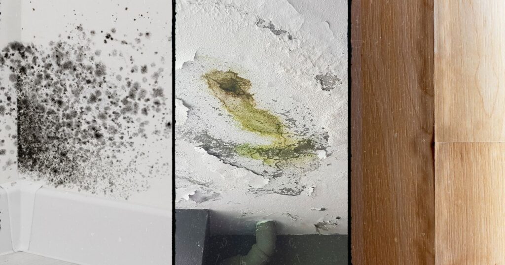 signs of water damage