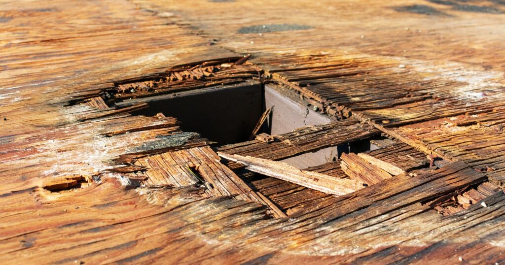 repair water damaged plywood