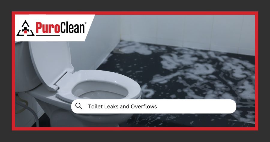 Toilet Leaks and Overflows