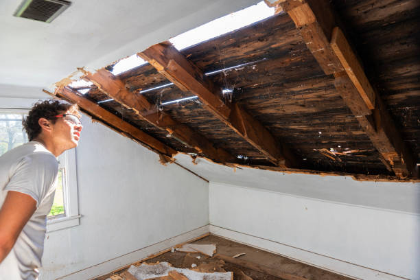 Storm Damage Restoration Near Me