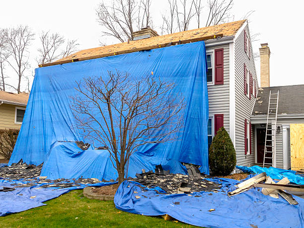 Storm Damage Restoration Near Me