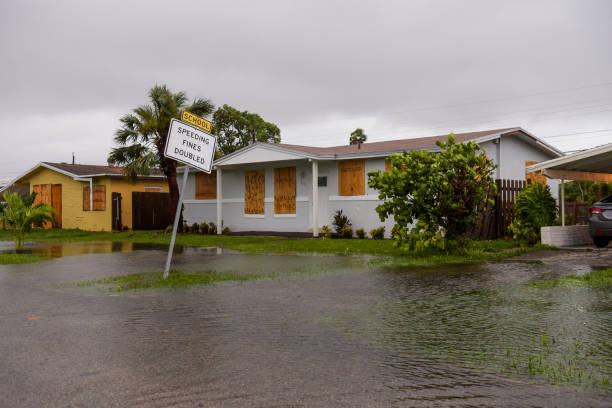 Water Damage Restoration in Miramar
