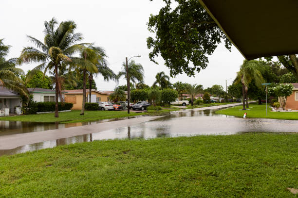 Storm damage restoration in Pembroke Pines