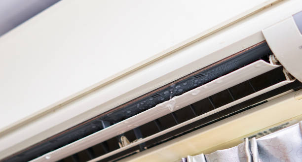 Mini-Split AC Leaks