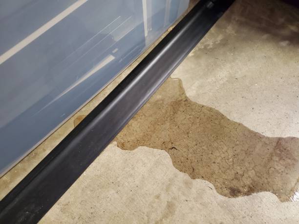 Fridge Thaw Leaks After a Power Outage in West Park: 5 Tips for Storm Season