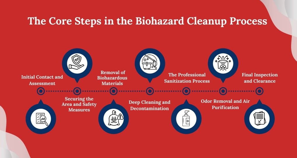 Infographic detailing the professional 5,stage biohazard remediation process used by PuroClean of South Atlanta.