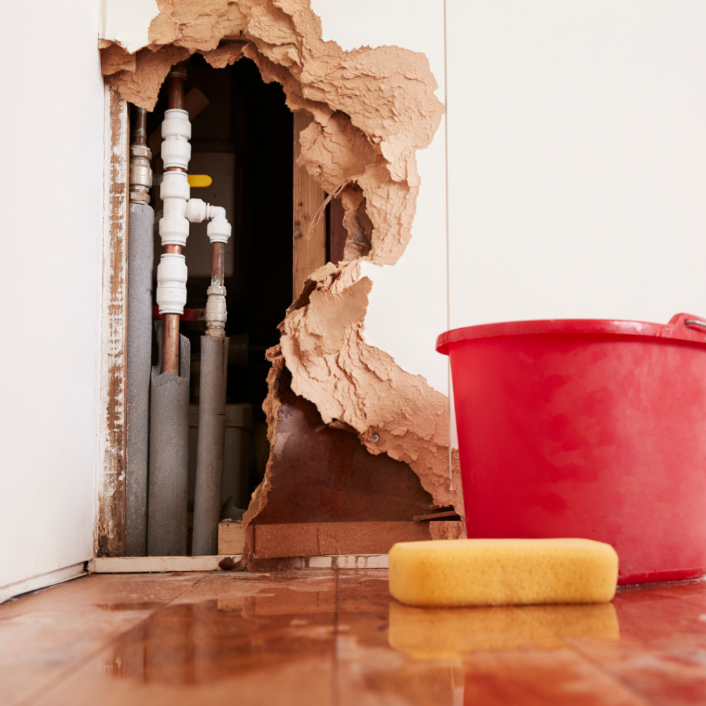 water damage repair