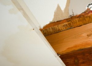 How Leaks and Moisture Impact Your Utility Bills