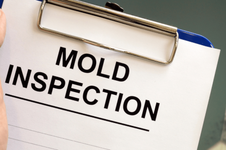 mold inspection