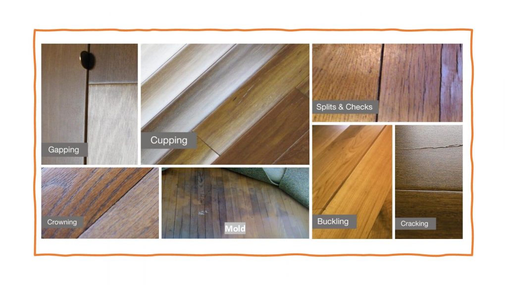 Comparison of dried versus untreated materials