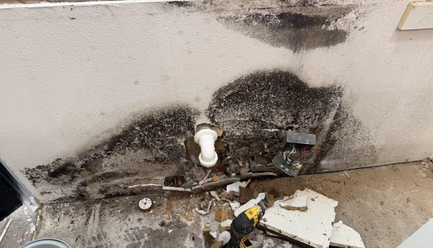 Moisture damage discovered behind kitchen cabinetry