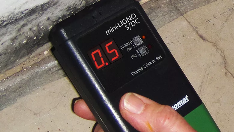 A restoration expert using a digital moisture meter to verify that structural wood is dry following mold remediation