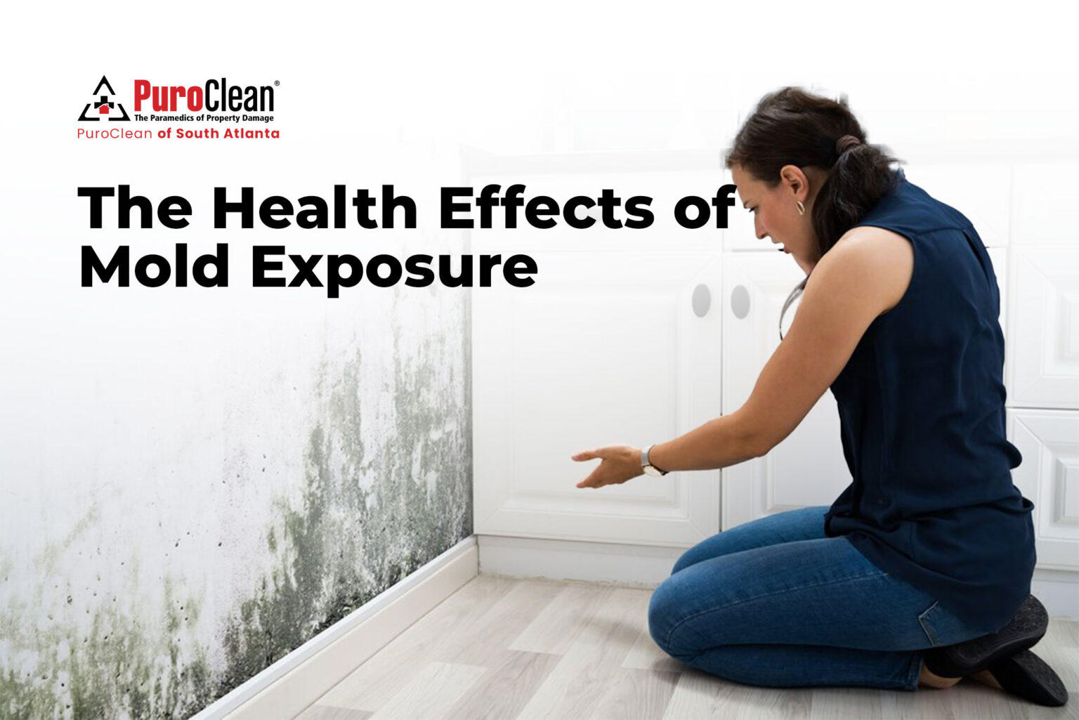 Mold Health Risks The Health Effects of Mold Exposure: Protecting Yourself and Your Home ...