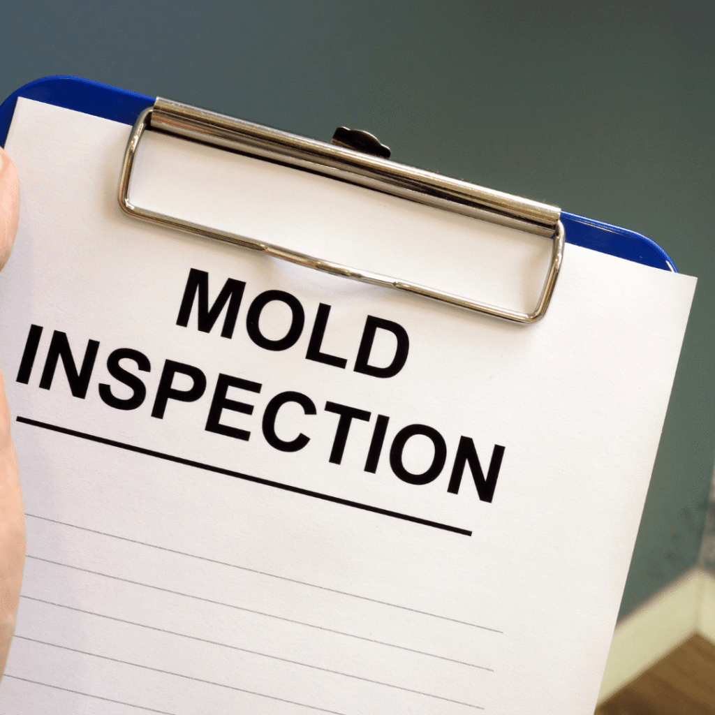 mold inspection