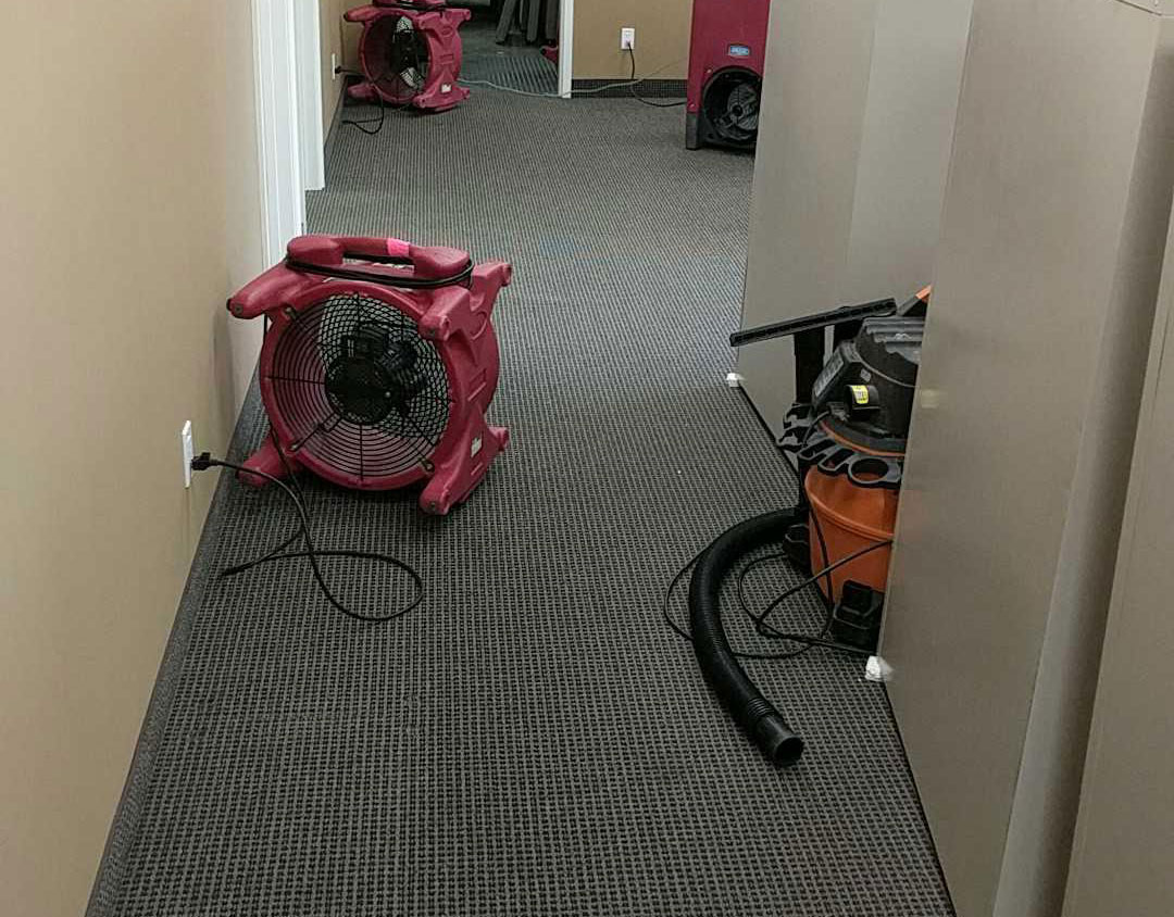 flooded carpet cleaning