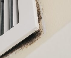 Mold, Black mold, HVAC, HVAC leak, mold growth, mold remediation