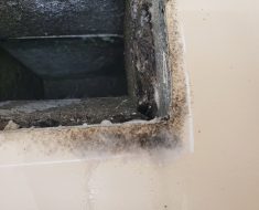 Mold, Black mold, HVAC, HVAC leak, mold growth, mold remediation