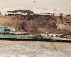 Mold, Black mold, HVAC, HVAC leak, mold growth, wet drywall, damaged drywall, mold remediation