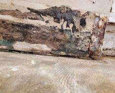 Mold, Black mold, HVAC, HVAC leak, mold growth, wet drywall, damaged drywall, mold remediation