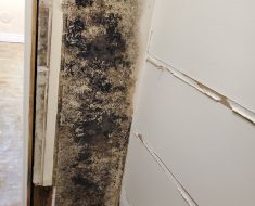 Mold, Black mold, HVAC, HVAC leak, mold growth, wet drywall, damaged drywall, mold remediation
