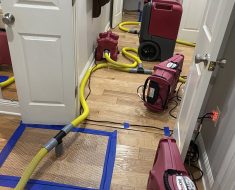 water extractor, drying hardwood floor, water remediation, mold prevention