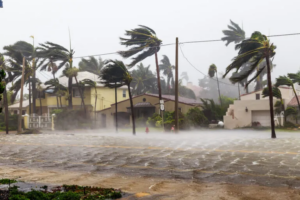 Hurricane Preparedness