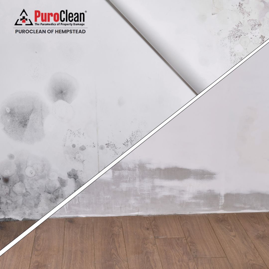 The Complete Guide to Emergency Mold Remediation: Protecting Your Home and Health