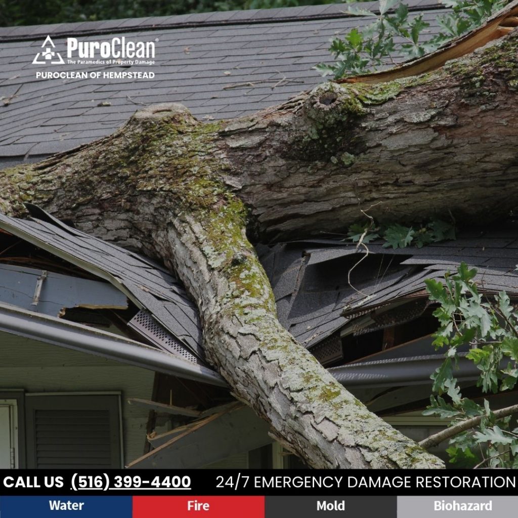 Emergency Steps to Take When Storm Damage Floods Your Hempstead Home