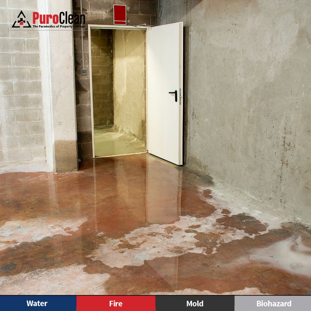 Water Damage Control: How PuroClean of Hempstead Protects Your Property After a Water Emergency