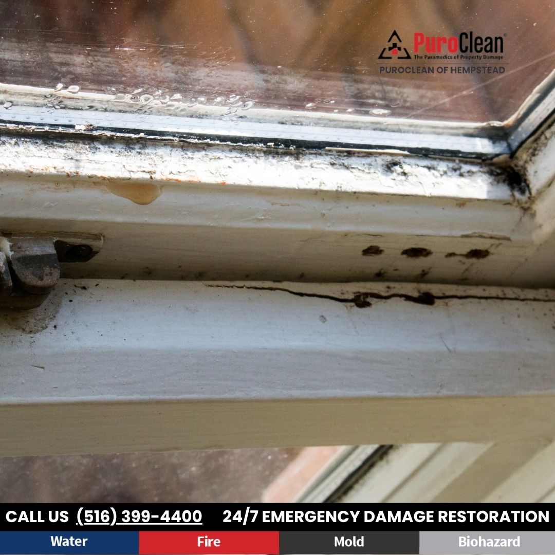 How Window Leaks Cause Water Damage in Common Living Areas