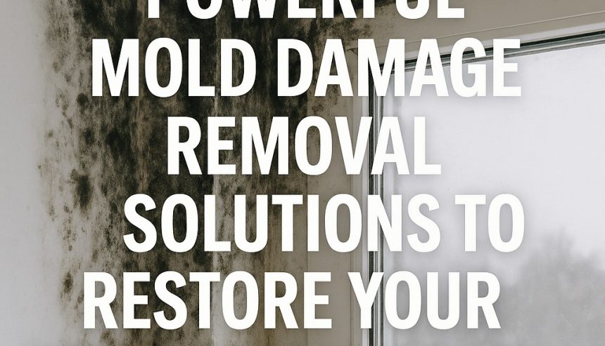 Mold Damage Removal
