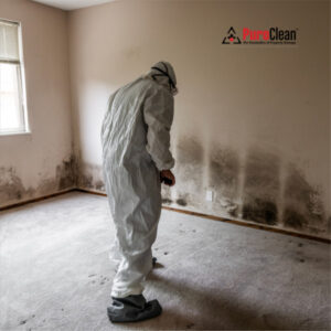 Mold Removal and Remediation