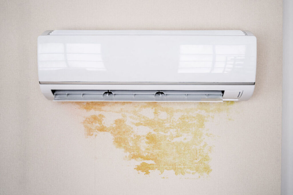 hvac mold removal
