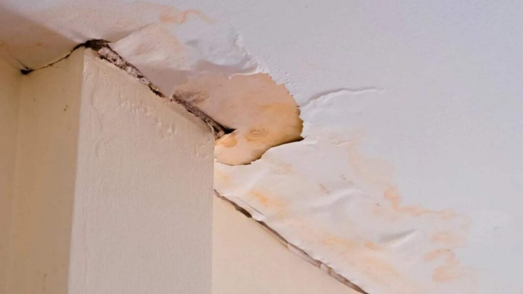 wet drywall